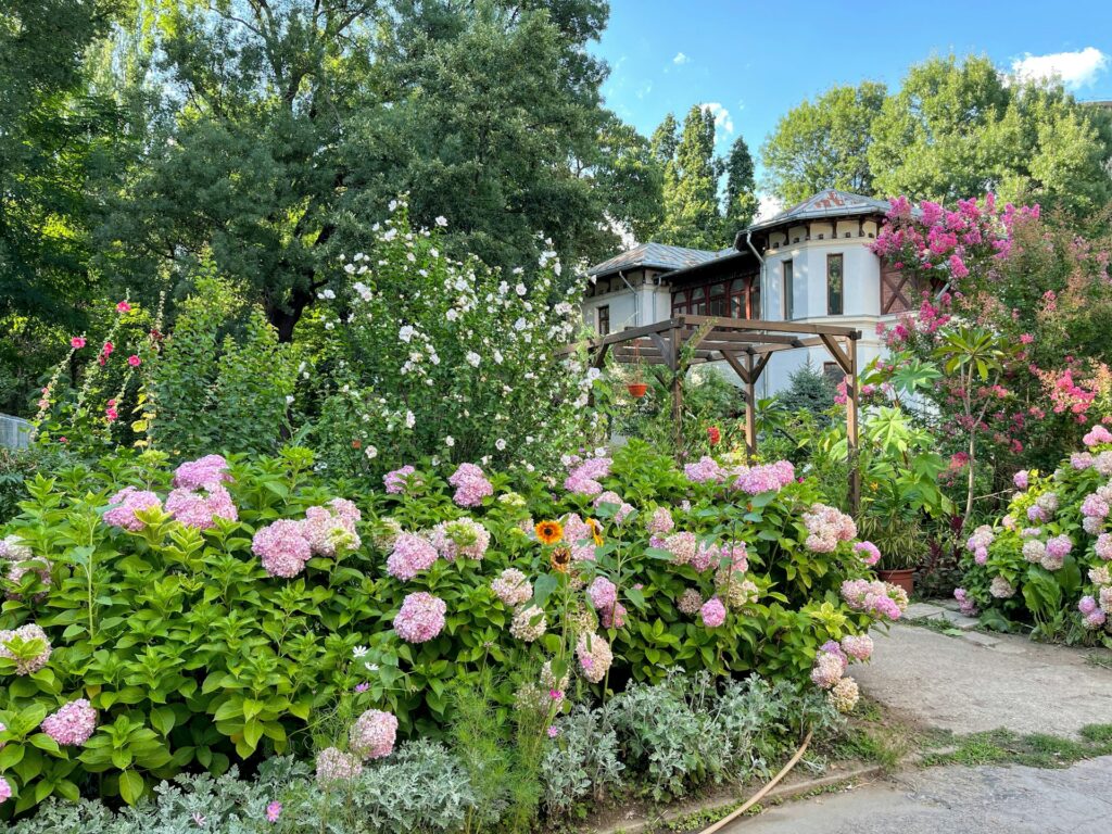 Tuinonderhoud Breda
